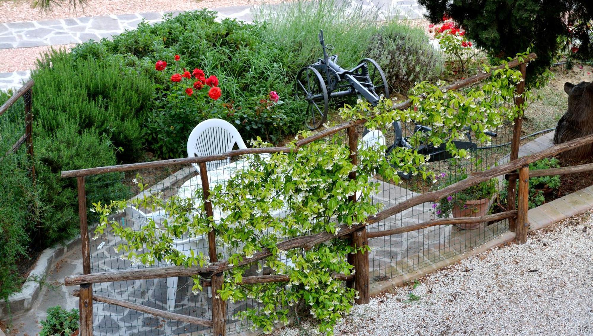 Agriturismo San Severo Villa Passignano sul Trasimeno Room photo